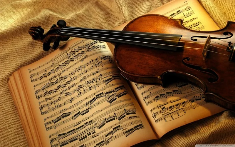 Âm nhạc trữ tình bao gồm nhiều nhánh nhỏ đa dạng như Bolero, nhạc Tiền chiến, nhạc Trịnh và Pop Ballad.